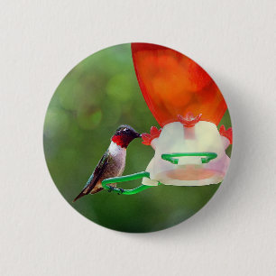 Chapa Redonda De 5 Cm A Ruby Throated Hummingbird