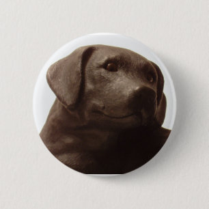 Chapa Redonda De 5 Cm A todos les encanta un recuperador de labrador
