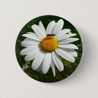 Chapa Redonda De 5 Cm Abeja por la foto natural de Daisy Alaskan