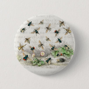 Chapa Redonda De 5 Cm Abeja Reina Entomología Botánica Vintage
