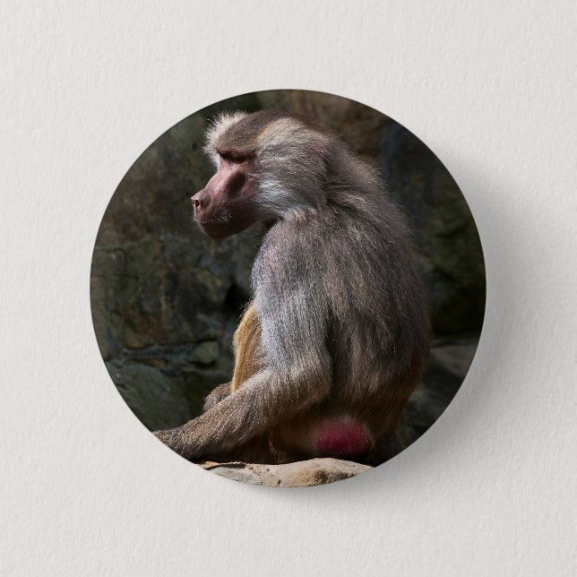 Chapa Redonda De 5 Cm Aceituna Baboon (Anverso)