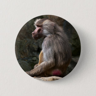 Chapa Redonda De 5 Cm Aceituna Baboon