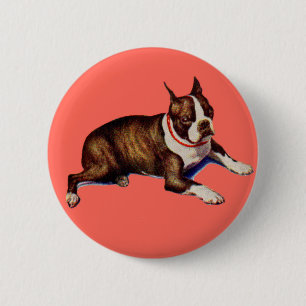 Chapa Redonda De 5 Cm adorable Boston terrier