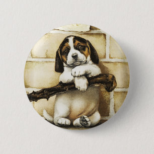 Chapa Redonda De 5 Cm Agradable Cachorro