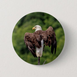 Chapa Redonda De 5 Cm Águila calva en una rama