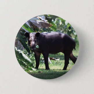 Chapa Redonda De 5 Cm ahorre el Tapir
