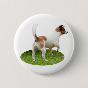 Chapa Redonda De 5 Cm Alerta de Fox Terrier en miniatura, placa redonda