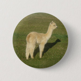 Chapa Redonda De 5 Cm Alpaca del cervatillo