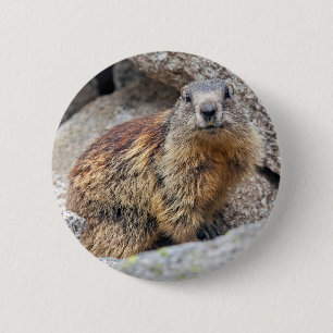 Chapa Redonda De 5 Cm Alpine Marmot Badge