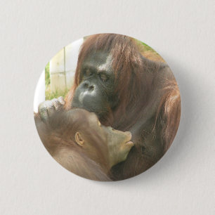 Chapa Redonda De 5 Cm Amamantamiento del orangután