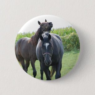 Chapa Redonda De 5 Cm Amantes del caballo