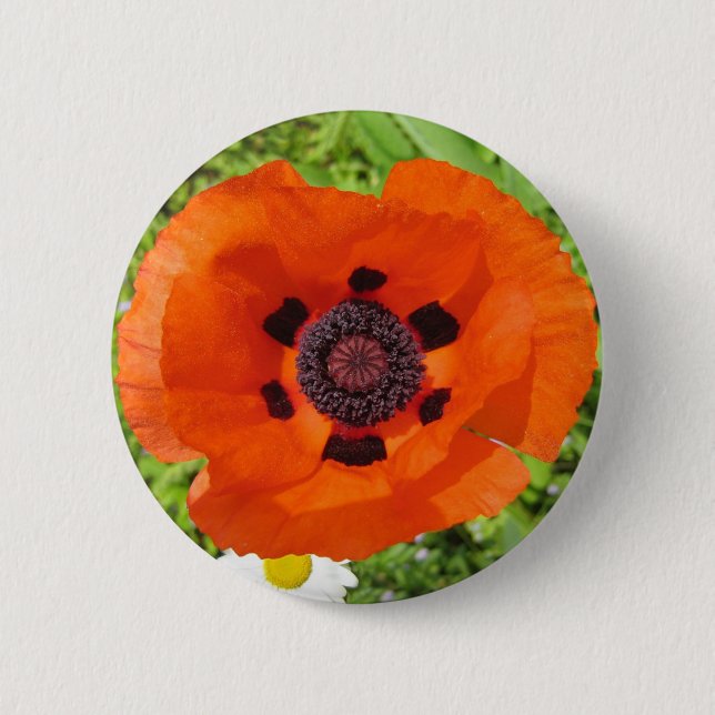 Chapa Redonda De 5 Cm Amapola (Anverso)