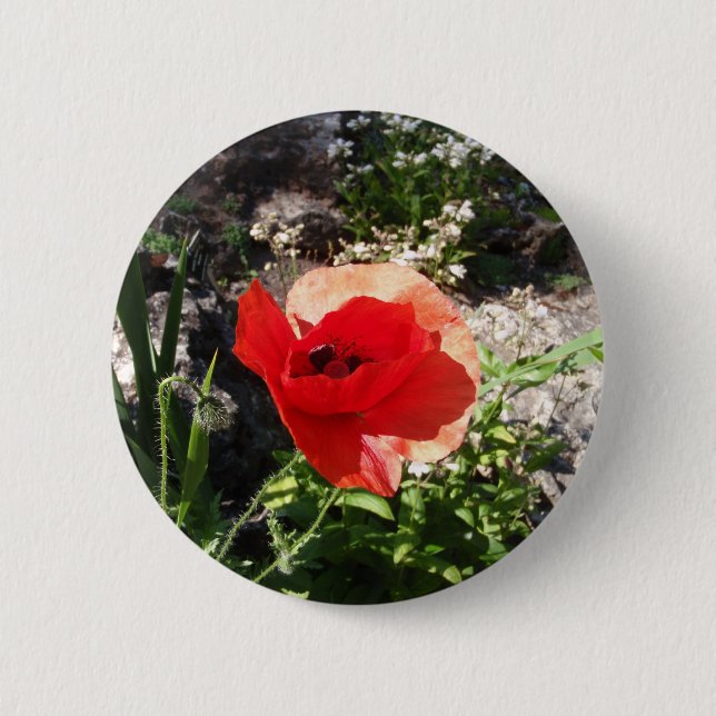 Chapa Redonda De 5 Cm Amapola roja (Anverso)