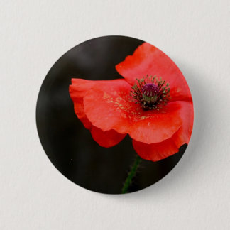Chapa Redonda De 5 Cm Amapola roja brillante