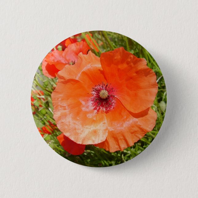 Chapa Redonda De 5 Cm Amapolas - Coquelicots (Anverso)