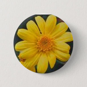 Chapa Redonda De 5 Cm amarillo