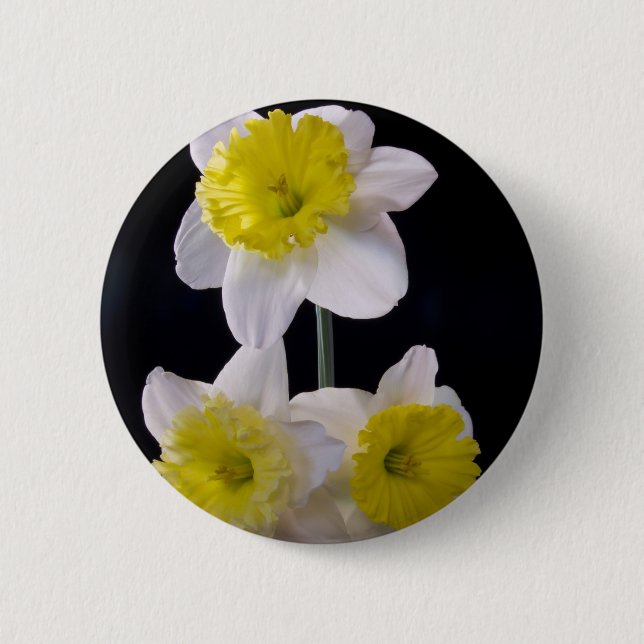 Chapa Redonda De 5 Cm Amarillo sobre Daffodil Blanco (Anverso)
