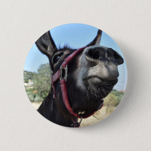 Chapa Redonda De 5 Cm ¡Amo burros!