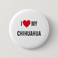Amo mi Chihuahua