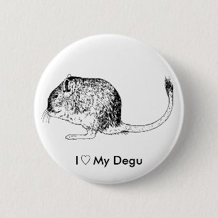 Chapa Redonda De 5 Cm Amor Degus - pernos