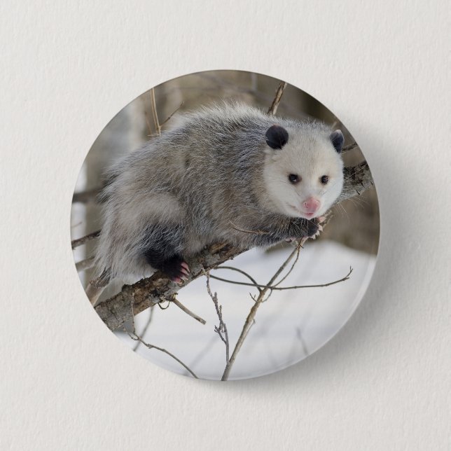 Chapa Redonda De 5 Cm Amor opossum (Anverso)