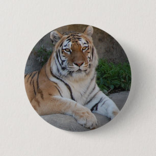 Chapa Redonda De 5 Cm Amor tigre