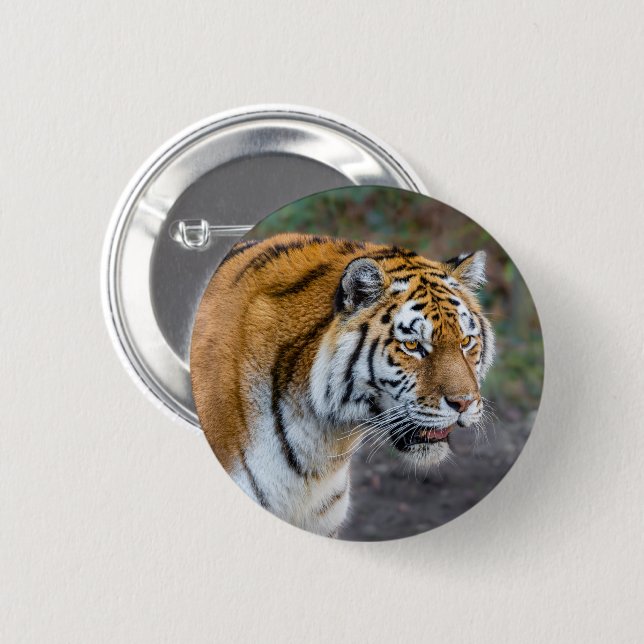 Chapa Redonda De 5 Cm Amur tiger (Anverso y reverso)