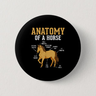 Chapa Redonda De 5 Cm Anatomía De Un Caballo Divertido Ecuestre Neigh Lo