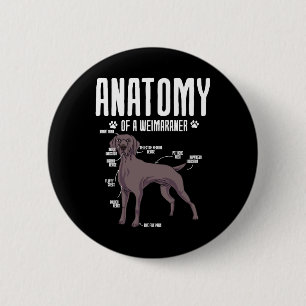 Chapa Redonda De 5 Cm Anatomía De Un Weimaraner