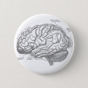 Chapa Redonda De 5 Cm Anatomía del cerebro del vintage