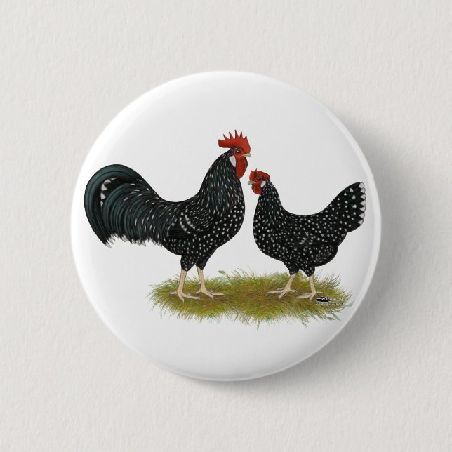 Chapa Redonda De 5 Cm Ancona Chickens (Anverso)