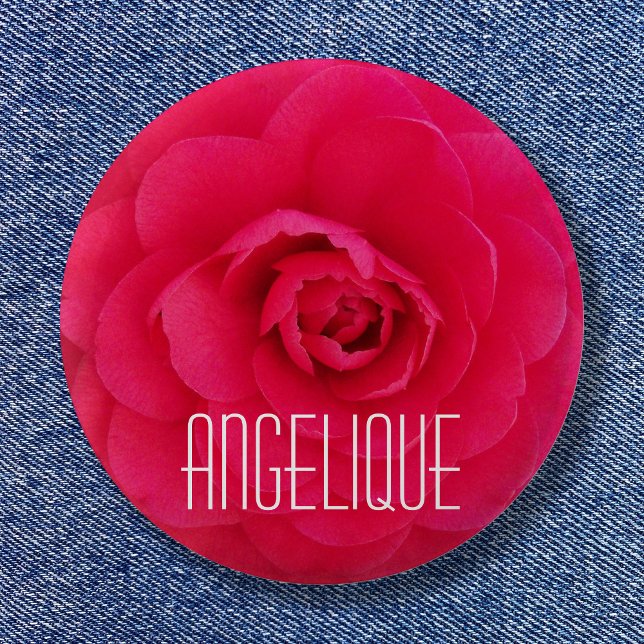 Chapa Redonda De 5 Cm Angelique en una camellia rosa (Angelique on a Pink Camellia Pinback Button)