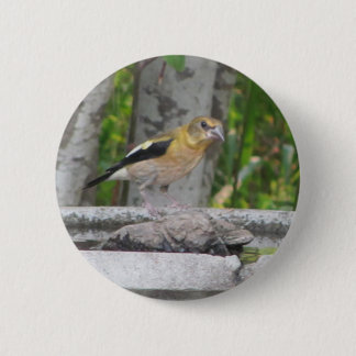 Chapa Redonda De 5 Cm Angry Looking Bird