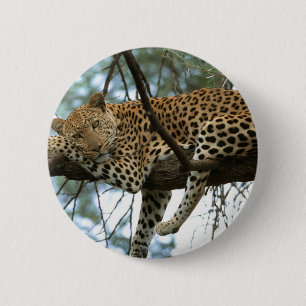 Chapa Redonda De 5 Cm Anillo de leopardo en el árbol