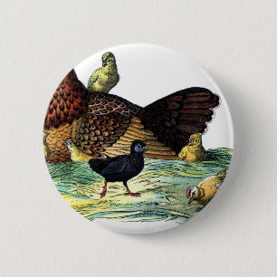 Chapa Redonda De 5 Cm Animal del vintage de los pollos