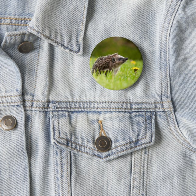 Chapa Redonda De 5 Cm Animales de bebé más afectados | Erizo europeo (In situ)