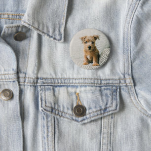 Chapa Redonda De 5 Cm Animales de bebé más afectados   Norfolk Terrier P