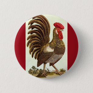 Chapa Redonda De 5 Cm Animales de granja antiguos Gallos, gallo orgullos
