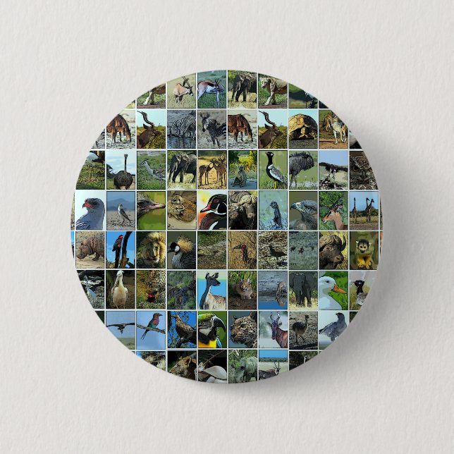 Chapa Redonda De 5 Cm Animals of the world (Anverso)