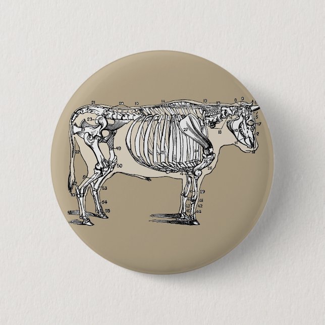 Chapa Redonda De 5 Cm Antique Cow Skeleton Bones Fun (Anverso)