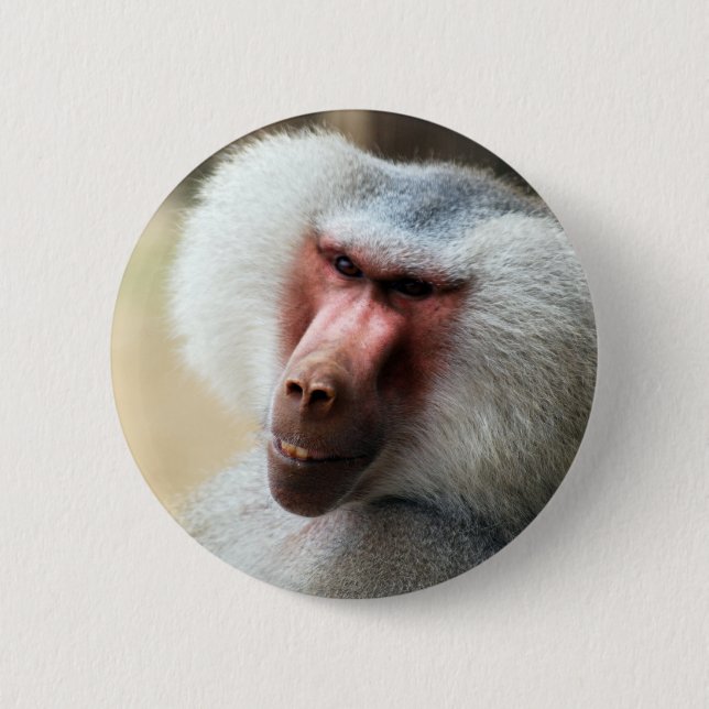 Chapa Redonda De 5 Cm Ape diciendo howdy (Anverso)