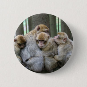 Chapa Redonda De 5 Cm Ape Group Hug