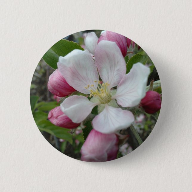 Chapa Redonda De 5 Cm Apple florece (Anverso)