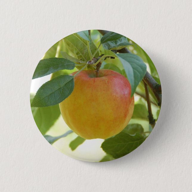 Chapa Redonda De 5 Cm Apple Prima (Anverso)