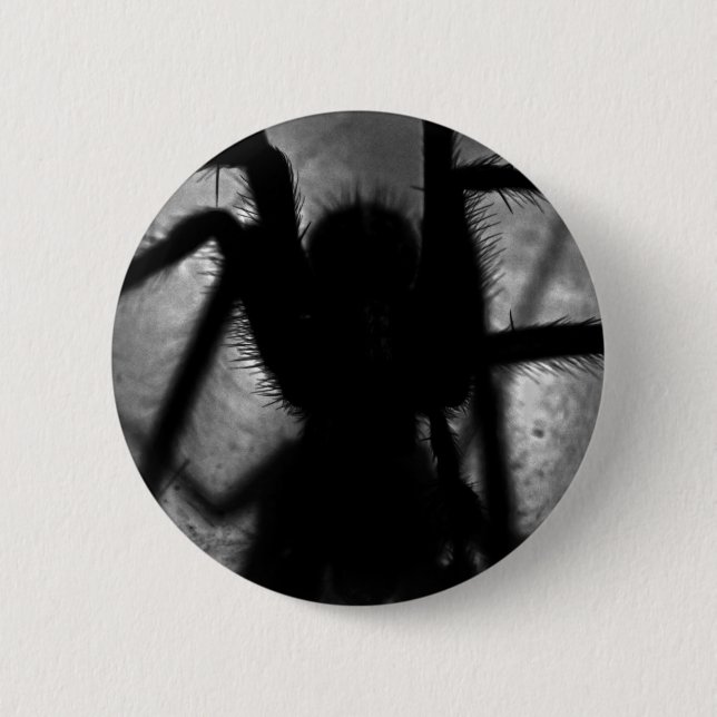 Chapa Redonda De 5 Cm Arachnophobia… (Anverso)