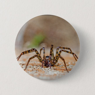 Chapa Redonda De 5 Cm araña a