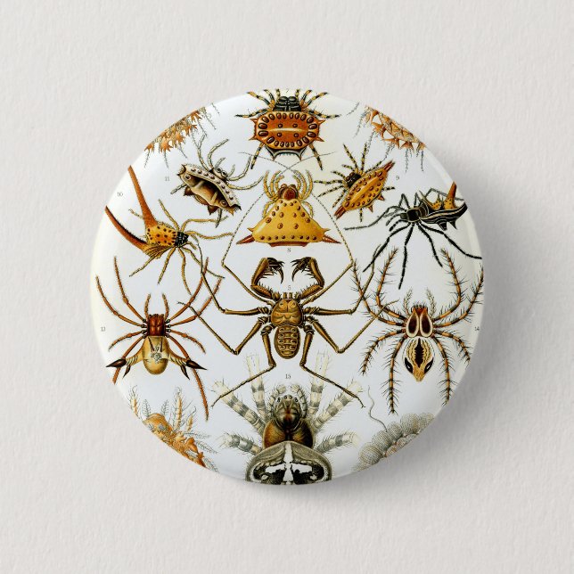 Chapa Redonda De 5 Cm Arañas de los arácnidos de Ernst Haeckel (Anverso)