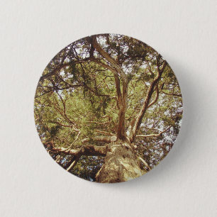 Chapa Redonda De 5 Cm Árbol