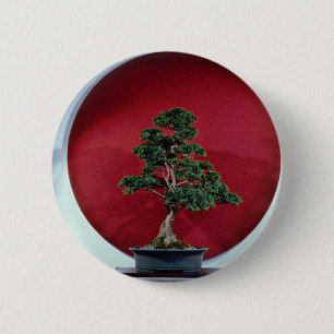 Chapa Redonda De 5 Cm Árbol inspirador de los bonsais