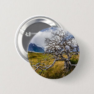 Chapa Redonda De 5 Cm Árbol quemado, Torres del Paine, Chile